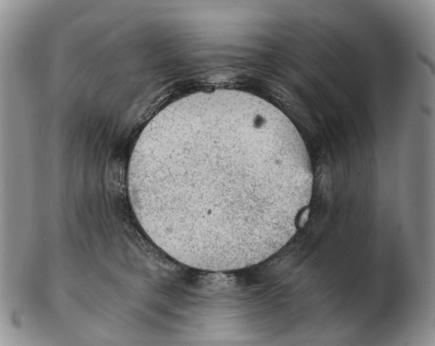 X0000103160421200809121842