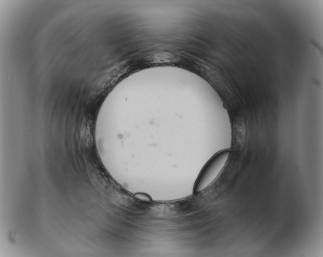 X0000103160422200809121842