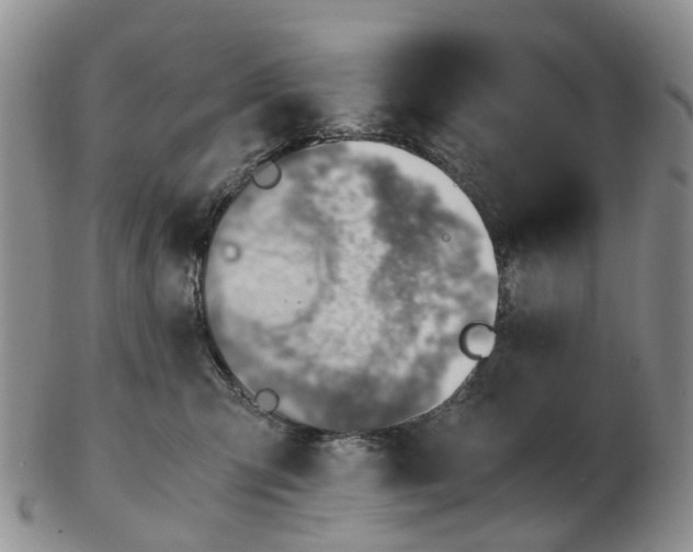 X0000103160423200809121842