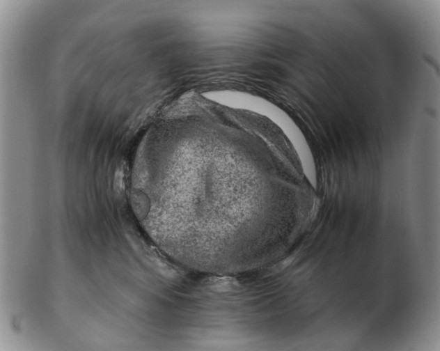 X0000103160424200809121842