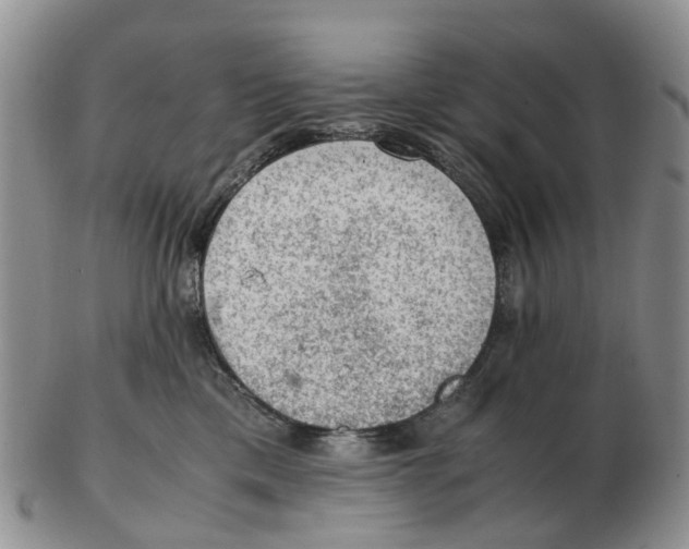 X0000103160425200809121842