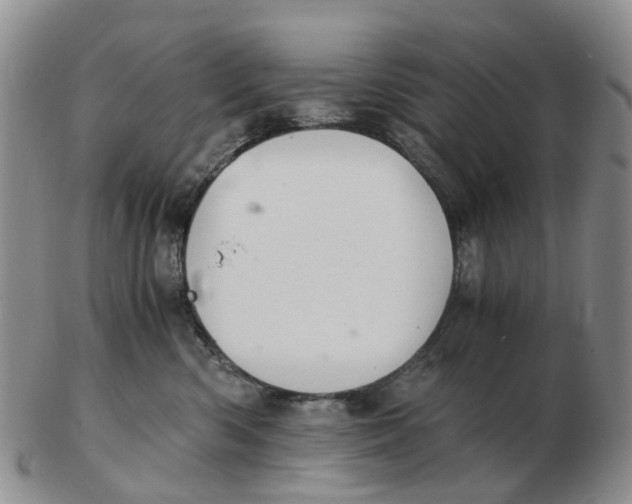 X0000103160426200809121842