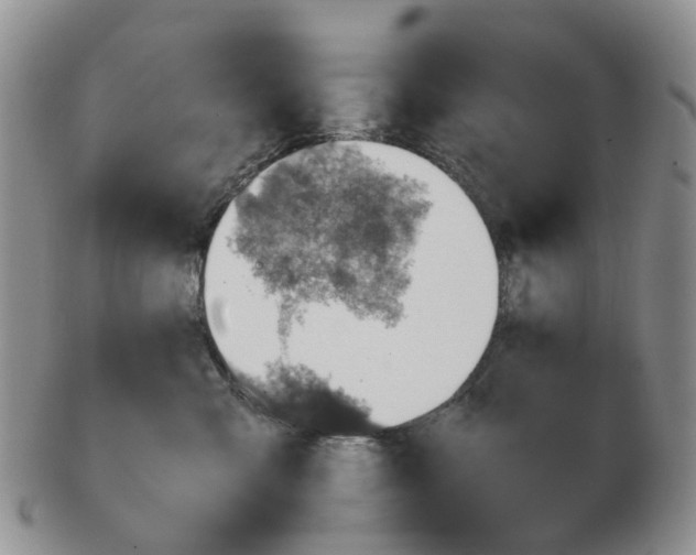 X0000103160427200809121842