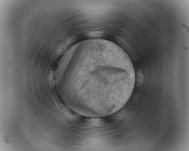 X0000103160428200809121842