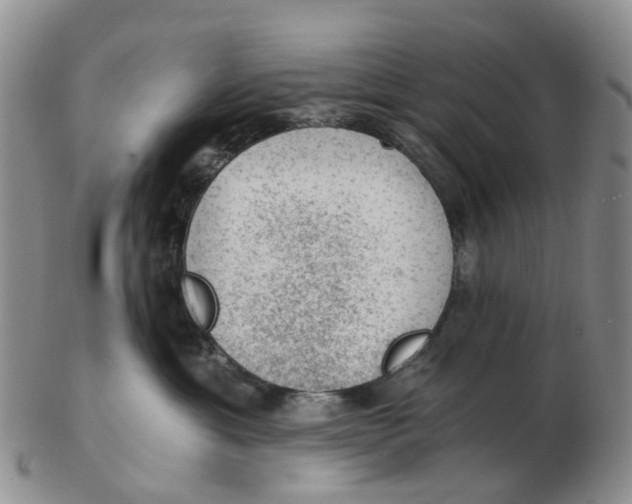 X0000103160429200809121842