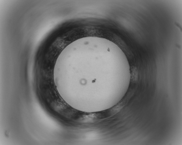 X0000103160430200809121842