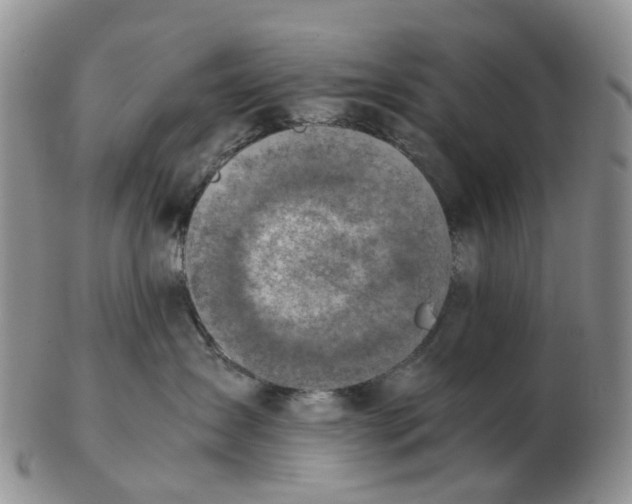 X0000103160431200809121842