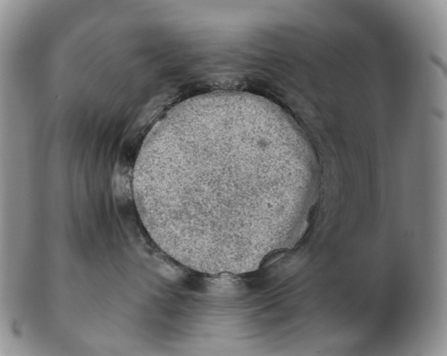 X0000103160432200809121842