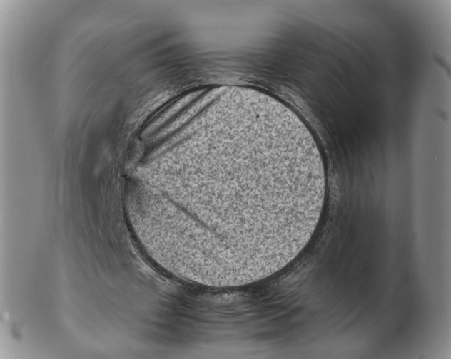 X0000103160433200809121841