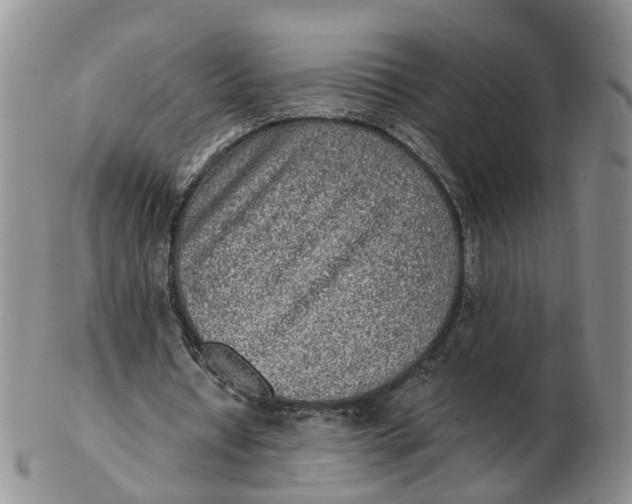 X0000103160434200809121841