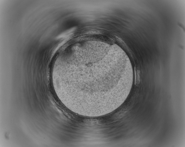 X0000103160435200809121841