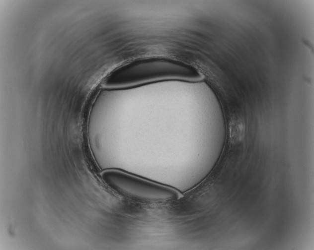 X0000103160436200809121841