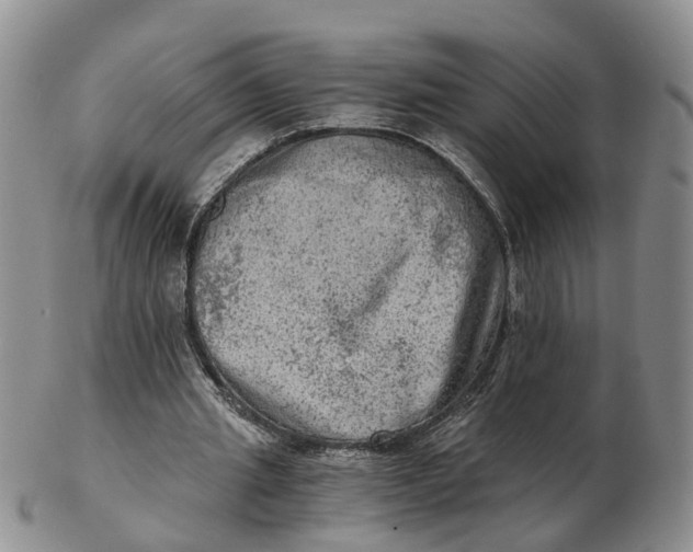 X0000103160437200809121841