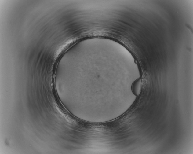 X0000103160438200809121841