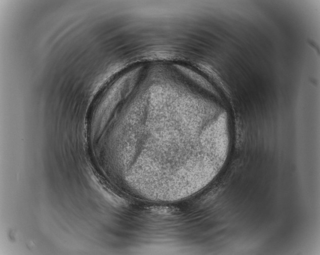 X0000103160439200809121841