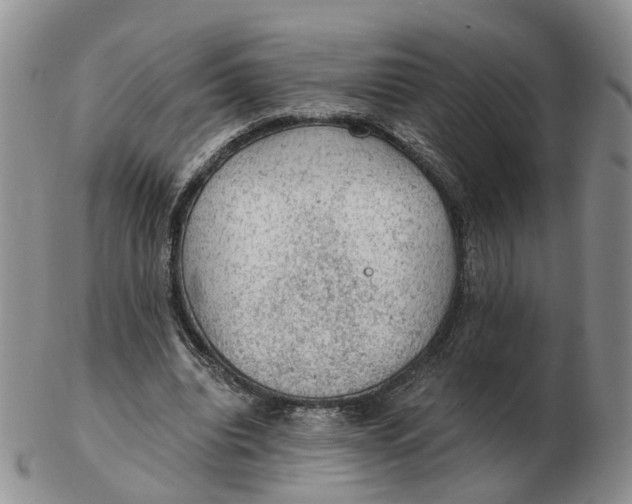 X0000103160440200809121841