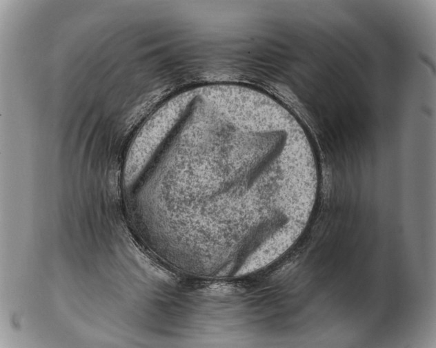 X0000103160441200809121841