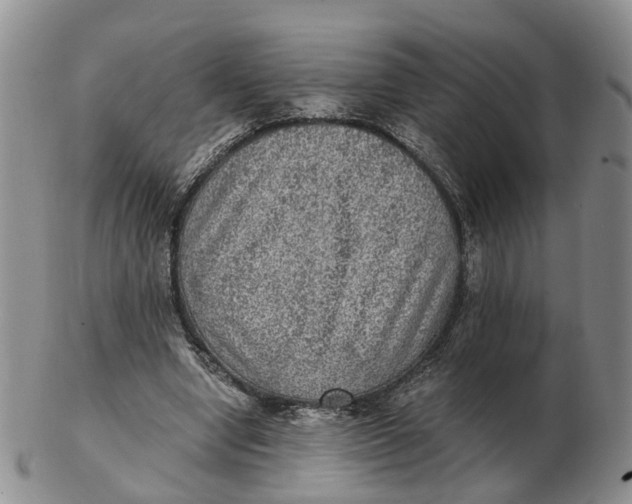 X0000103160442200809121841