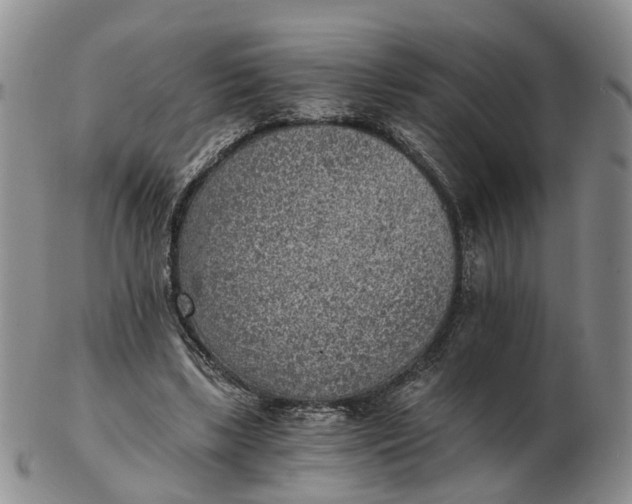 X0000103160443200809121841