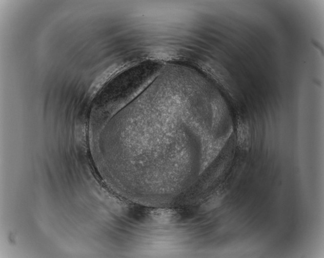 X0000103160444200809121841