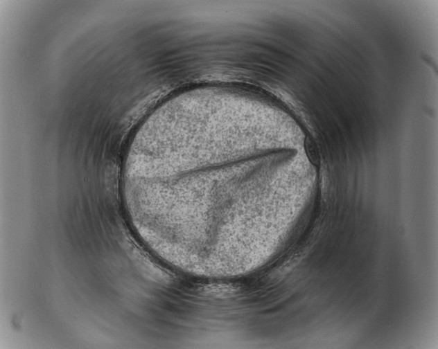 X0000103160445200809121841