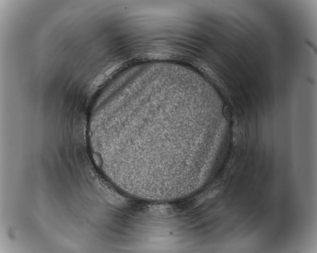 X0000103160446200809121841