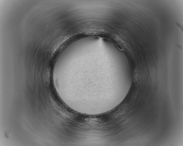 X0000103160448200809121841