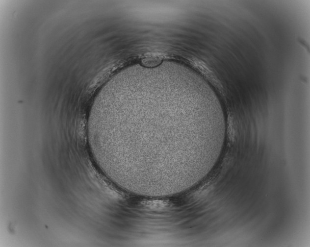 X0000103160449200809121841