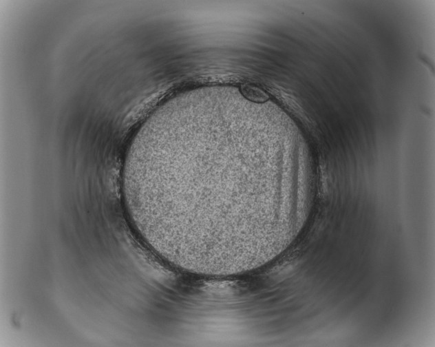 X0000103160450200809121841