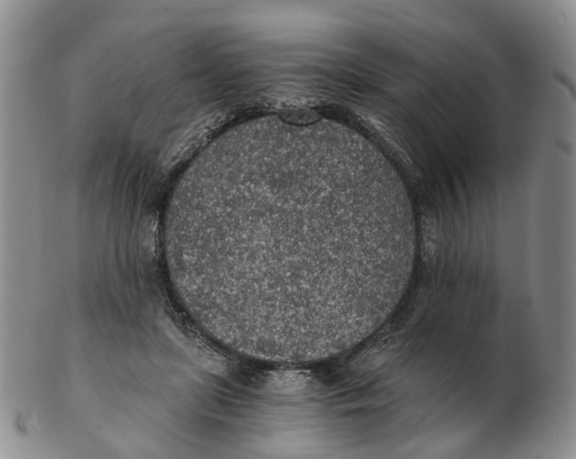 X0000103160451200809121841