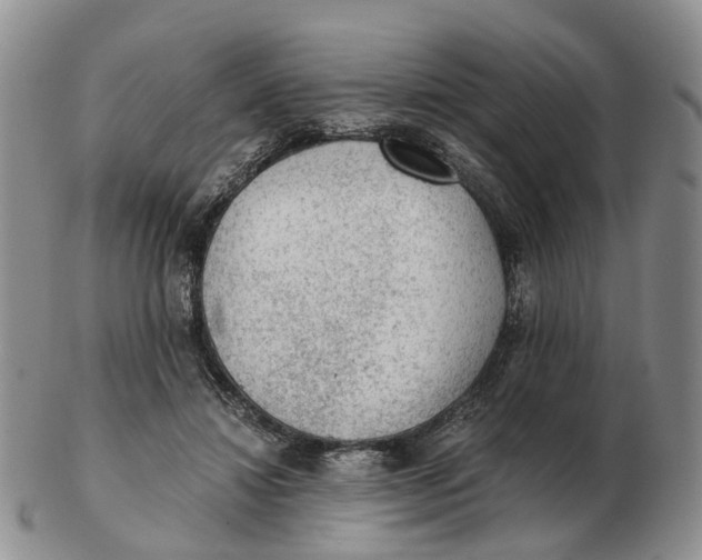 X0000103160452200809121841