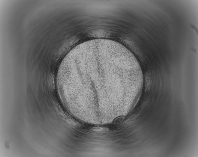 X0000103160453200809121841