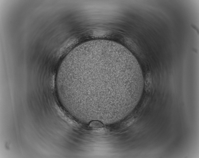 X0000103160454200809121841