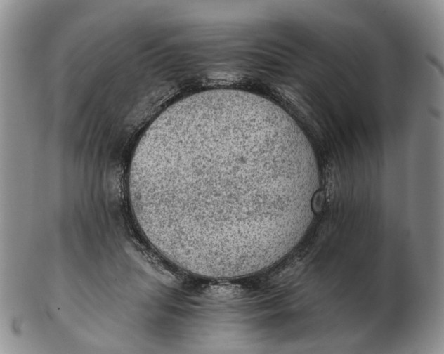 X0000103160455200809121841