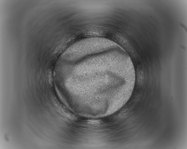 X0000103160457200809121841