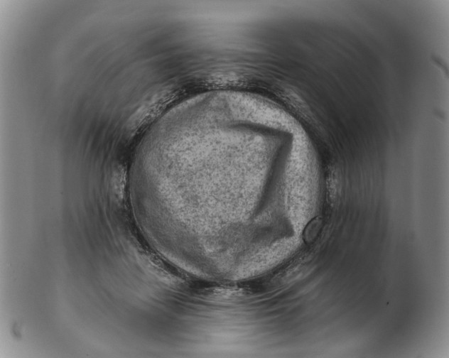 X0000103160458200809121841