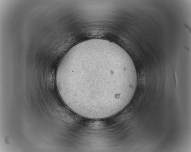 X0000103160460200809121841