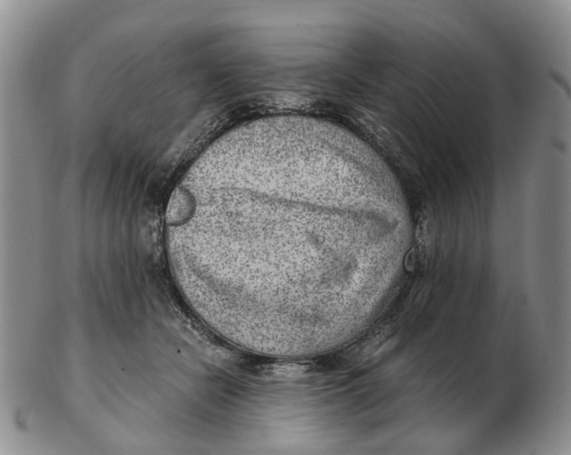 X0000103160462200809121842