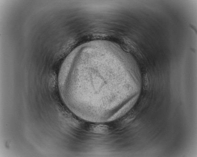 X0000103160463200809121842