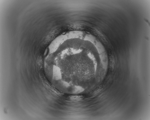 X0000103160465200809121842