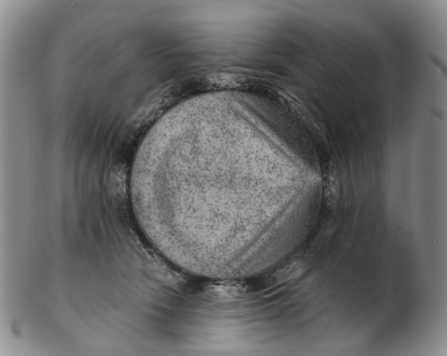 X0000103160466200809121842