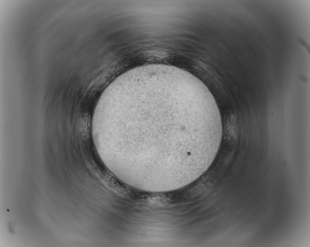 X0000103160468200809121842