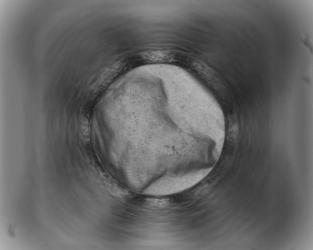 X0000103160469200809121842