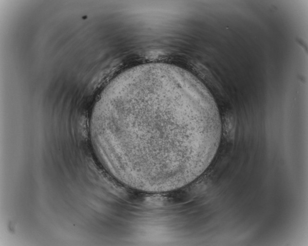 X0000103160470200809121842