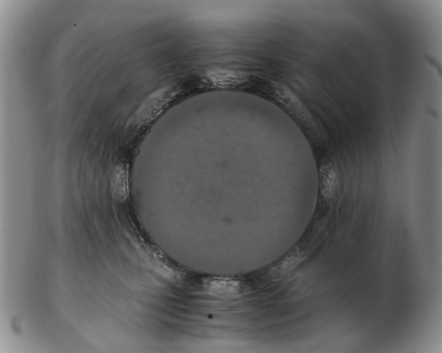 X0000103160471200809121842