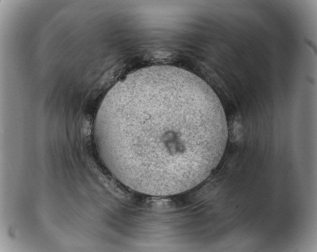 X0000103160472200809121842