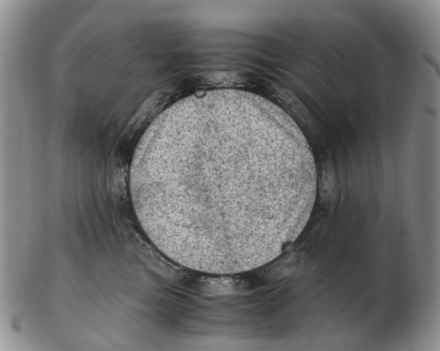 X0000103160473200809121842