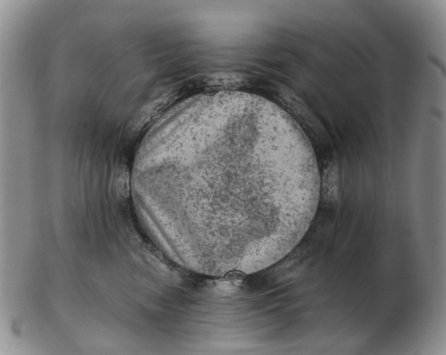 X0000103160474200809121842