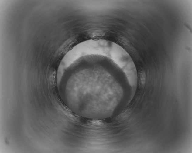 X0000103160475200809121842