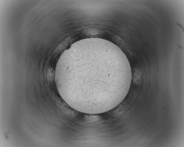 X0000103160476200809121842